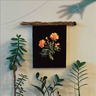 WHY? - The Well I Fell Into - Import CD