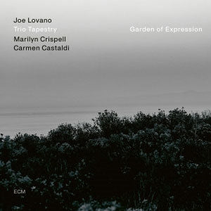 Joe Lovano - Garden Of Expression - Import CD