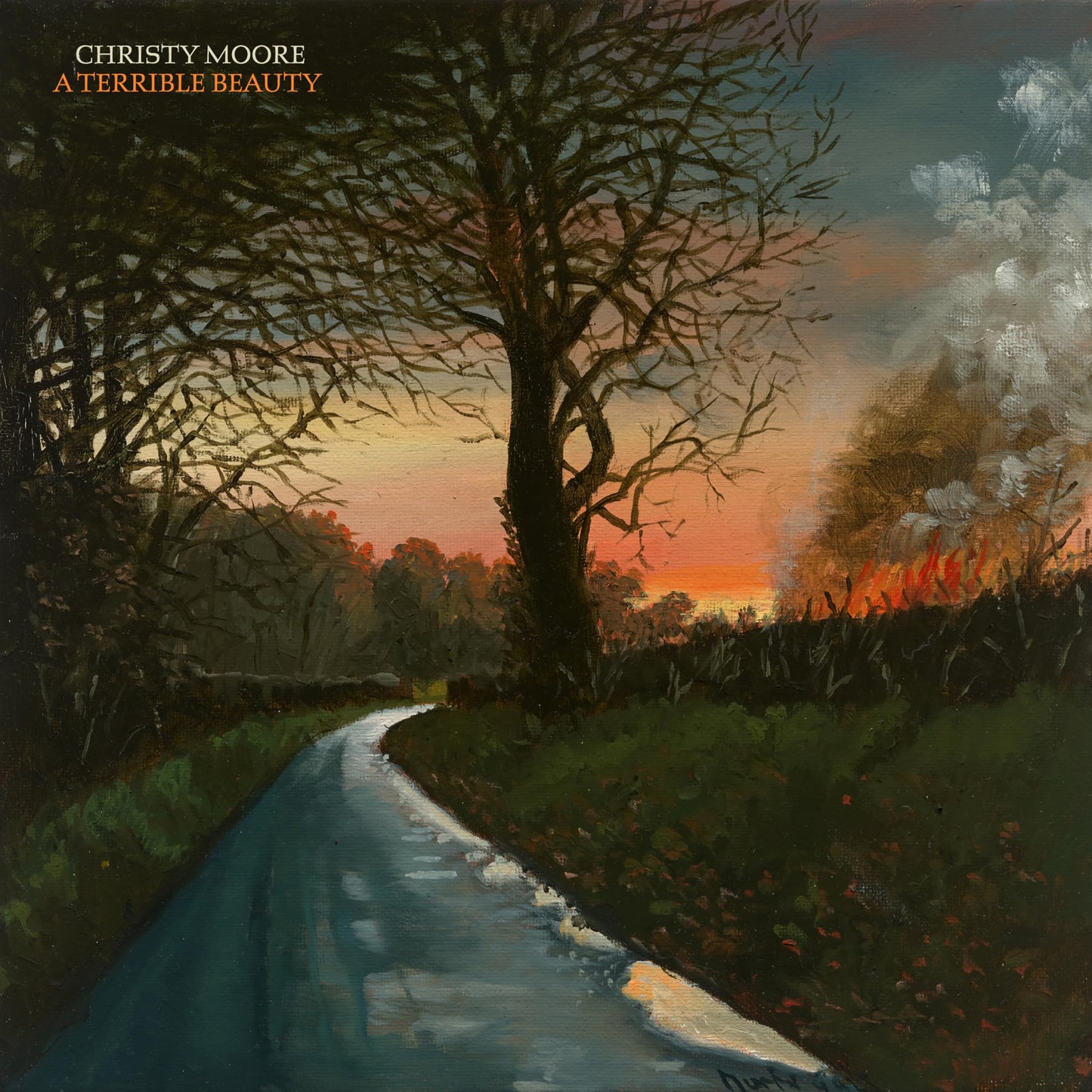 Christy Moore - A Terrible Beauty - Import CD