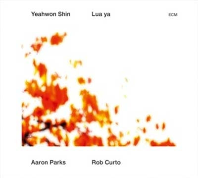 Yeahwon Shin 、 Aaron Parks - Lua Ya - Import CD