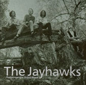 The Jayhawks - Tomorrow The Green Grass - Import Vinyl LP Record