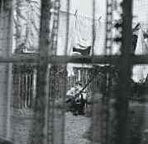 Paul McCartney - Chaos And Creation In The Backyard - Import CD