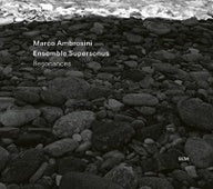 Marco Ambrosini、Ensemble Supersonus - Resonances - Import CD