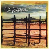 Gin Blossoms - Outside Looking In: The Best Of The Gin Blossoms - Import CD