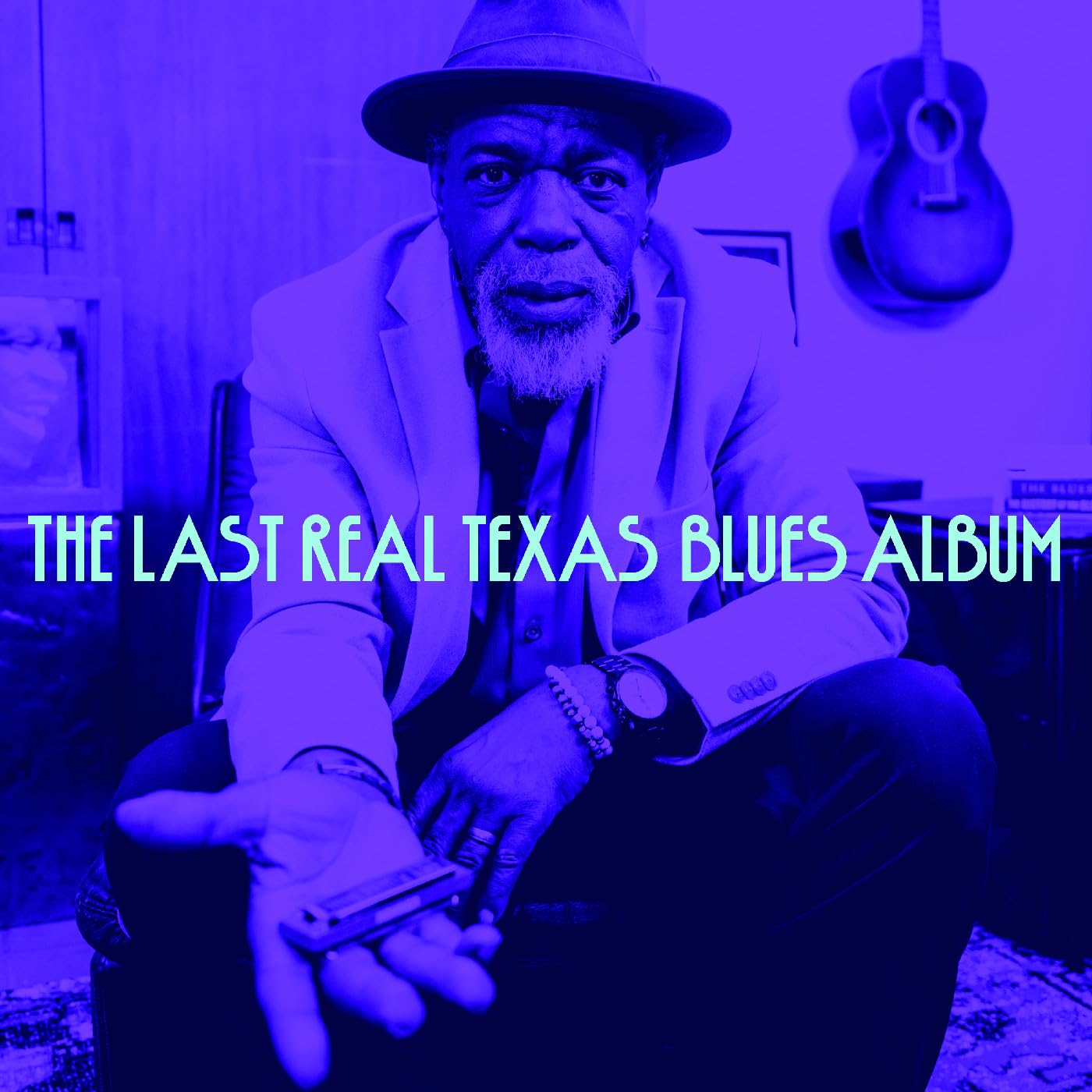 Various Artists - The Last Real Texas Blues Album - Import CD