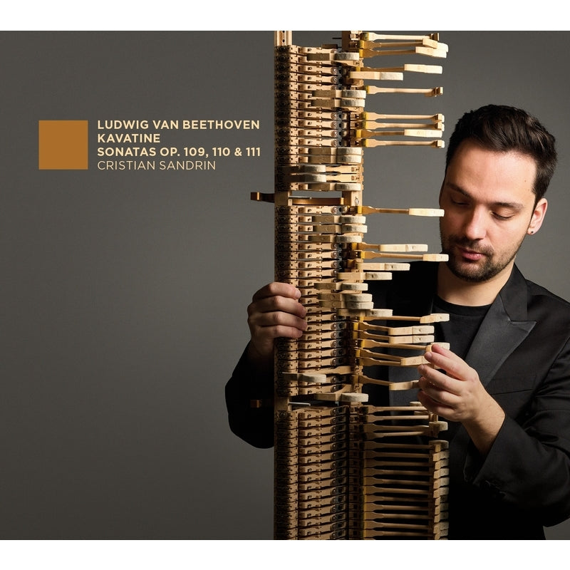 Cristian Sandrin - Beethoven:Piano Sonata No.30,31&32 - Import CD