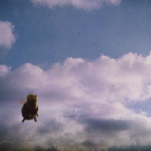 Pond - Stung! - Import 180G Coloured Vinyl 2 LP Record