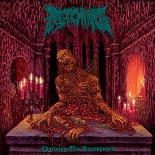 Retching - Charming the Decomposed - Import CD