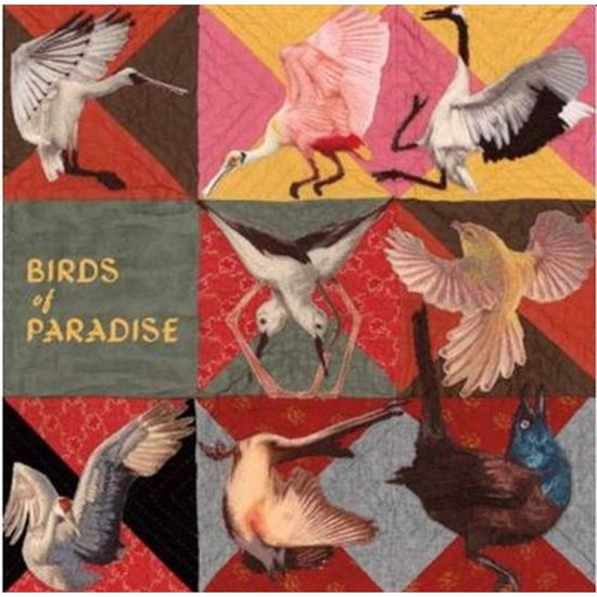 Thomas Dollbaum - Birds Of Paradise - Import Vinyl LP Recurd