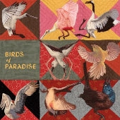 Thomas Dollbaum - Birds of Paradise - Import Roseate Spoonbill Pink vinyl LP Record Limited Edition