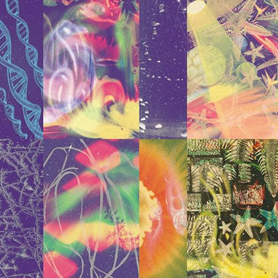 Nap Eyes - The Neon Gate - Import CD