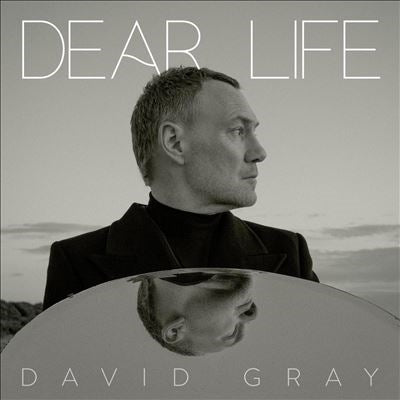 David Gray - Dear Life - Import Vinyl 2 LP Record