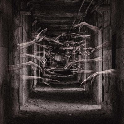 Demonic Possessor - Porous Chambers - Import Vinyl LP Record
