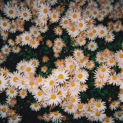 Bad Bad Hats - Bad Bad Hats - Import Pink Vinyl LP Record