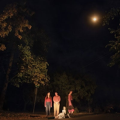 The Ophelias (Ohio) - Spring Grove (Indie Exclusive) - Import Translucent Forest Green Vinyl LP Record