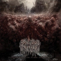 Exhaurity - Elucidations On Flesh Paradoxes - Import CD