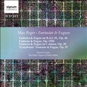 Reger, M. - Reger, Max (1873-1916) Fantasias & Fugues -Organ Works : David Goode (2Cd) - Import 2 CD