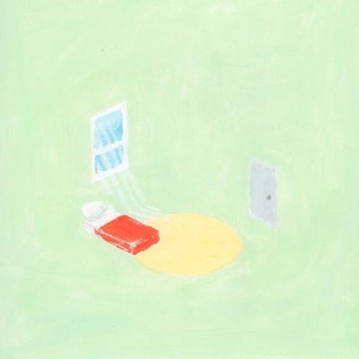 Florist - The Birds Outside Sang - Import "Monet" Marble Vinyl LP Record Limited Edition