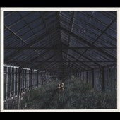 Foxing - Dealer - Import CD