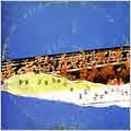 Psychedelic Horseshit - Magic Flowers Droned - Import CD