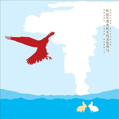 Sufjan Stevens - Enjoy Your Rabbit - Import Vinyl 2 LP Record Limited Edition