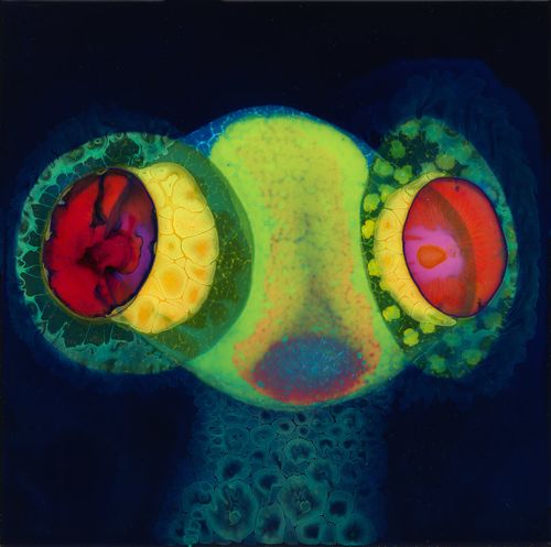 Osees (Thee Oh Sees) - Sorcs 80 - Import CD