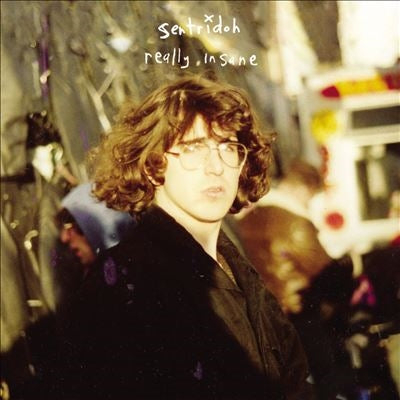 Sentridoh - Really Insane : A Lou Barlow Compendium - Import Coloured Vinyl LP Record