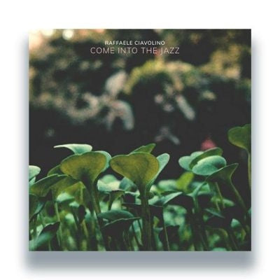 Raffaele Ciavolino - Come Into The Jazz - Import Vinyl 2 LP Recurd