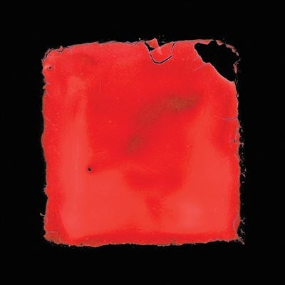 Salvia Palth - Last Chance To See - Import CD