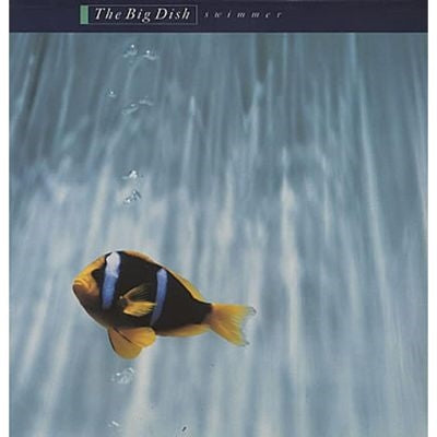 The Big Dish - Swimmer (40th Anniversary) - Import Vinyl LP Record