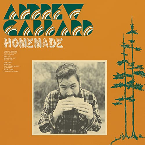 Andy Gabbard - Homemade - Import CD