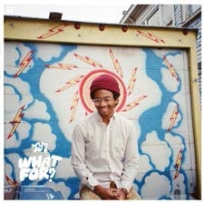 Toro Y Moi - What For? - Import Vinyl LP Record Limited Edition