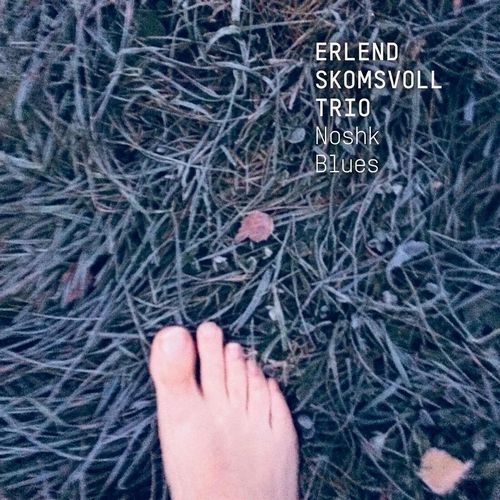 Erlend Skomsvoll - Noshk Blues - Import CD