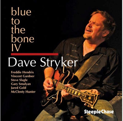 Dave Stryker - Blue To The Bone Iv - Import CD