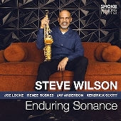 Steve Wilson - Enduring Sonance - Import CD