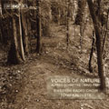 Kaljuste, Toenu, Swedish Radio Chorus - Schnittke: Voices of Nature, etc; Paert / Roennlund, Kaljuste - Import CD