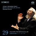 Bach / Mields / Bertin / Turk / Suzuki - J.S.Bach: Complete Cantatas Vol.29: BWV.2, BWV.3, BWV.38, BWV.135 / Masaaki Suzuki, BCJ, Concerto Palatino, Peter Kooy, etc - Import SACD Hybrid