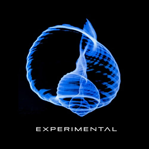 Experimental (Prog: Chl) - Homonimo - Import CD