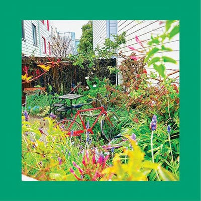 The Reds, Pinks And Purples - Unwishing Well - Import Colored Vinyl LP Record