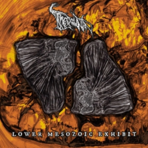 Thecodontion - Lower Mesozoic Exhibit - Import CD
