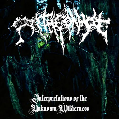 Antagonyze - Interpretations Of The Unknown Wilderness - Import CD