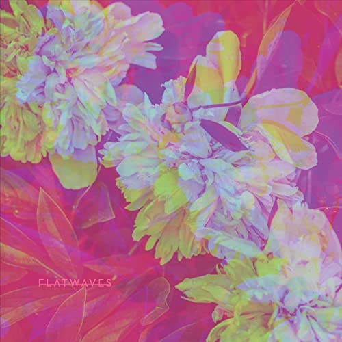 Flatwaves - Numbra - Import LP Record