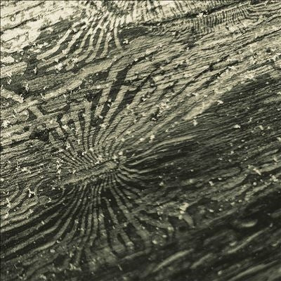 Raphael Roginski - Talan - Import CD