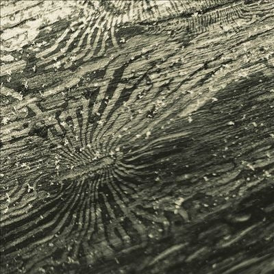 Raphael Roginski - Talan - Import Vinyl LP Record Limited Edition