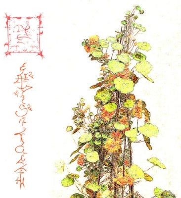 Trha - Avelajntoef Hinnem Nihre - Import CD