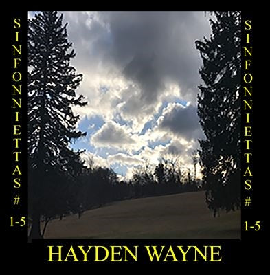 Hayden Wayne - Sinfoniettas #1-5 - Import CD