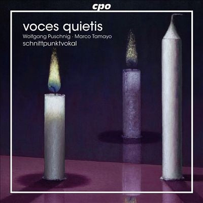 Schnittpunktvokal Male Quartet - Voces Quietis - Austrian Christmas Carols - Import 2 CD