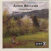 Anton Bruckner - Bruckner: Piano Works / Wolfgang Brunner, Michael Schopper - Import CD