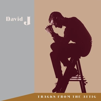 David J - Tracks from the Attic - Import 3 CD Box set
