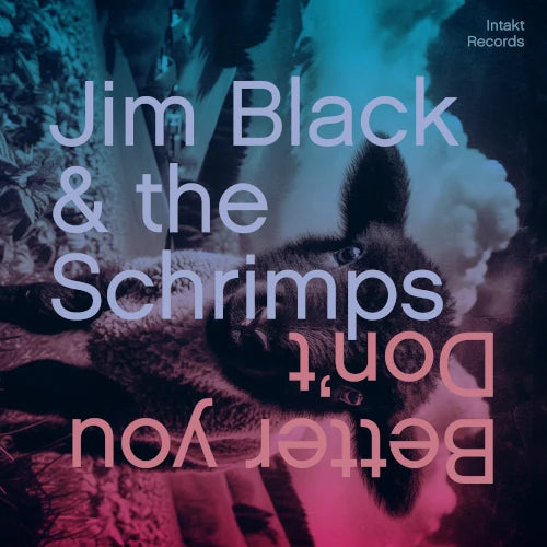 Jim Black - Better You Don'T - Import CD